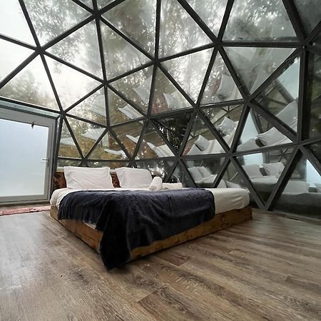 הוילה Angra do Heroísmo Quinta Do Abacate - Glamping Park מראה חיצוני תמונה