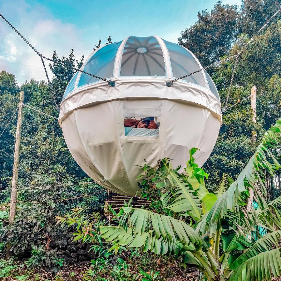 הוילה Angra do Heroísmo Quinta Do Abacate - Glamping Park מראה חיצוני תמונה